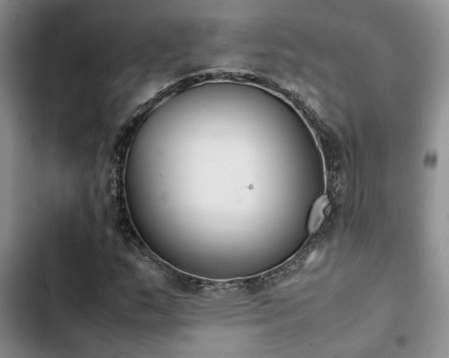 X0000102861159200808181434