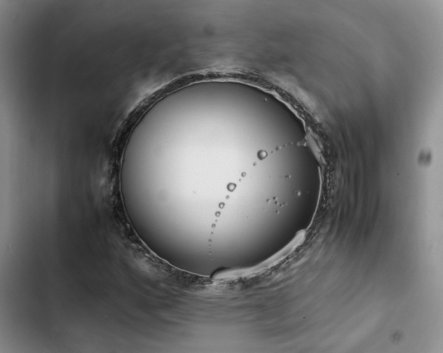 X0000102861160200808181434