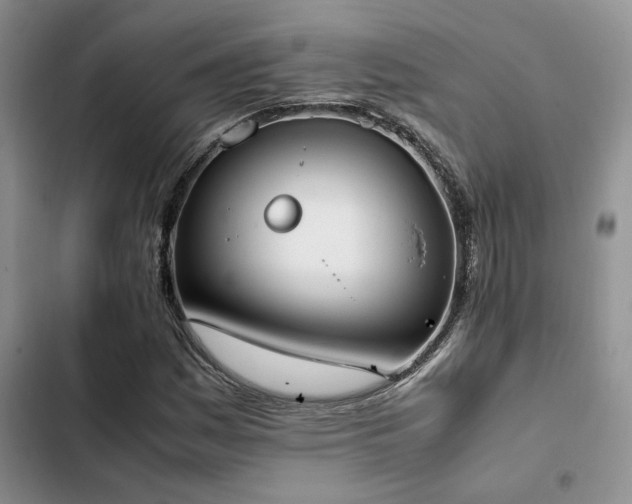 X0000102861161200808181434