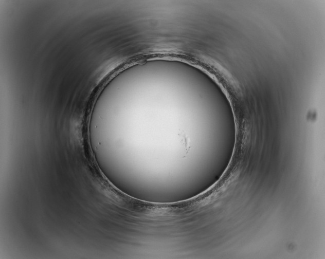 X0000102861162200808181434