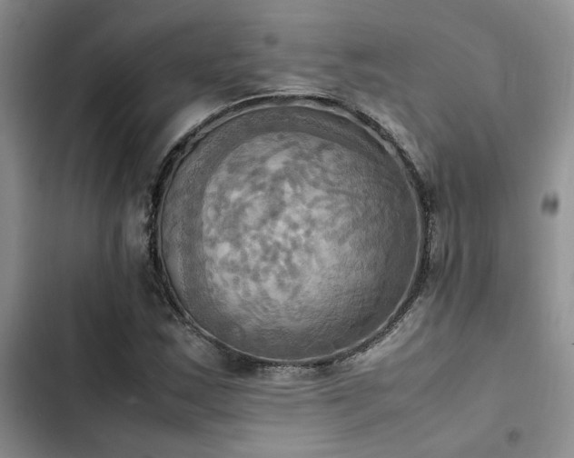 X0000102861163200808181434