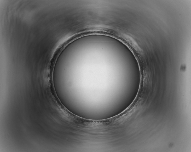 X0000102861164200808181434