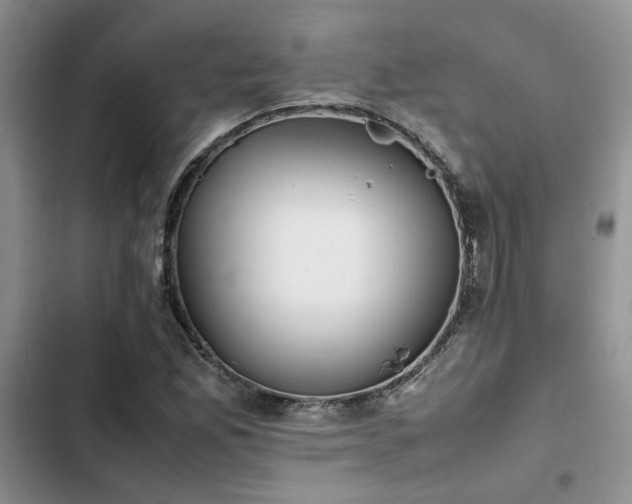 X0000102861165200808181434