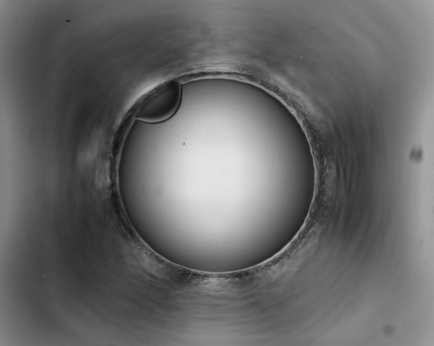 X0000102861166200808181434