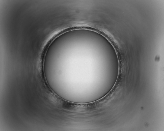 X0000102861167200808181434