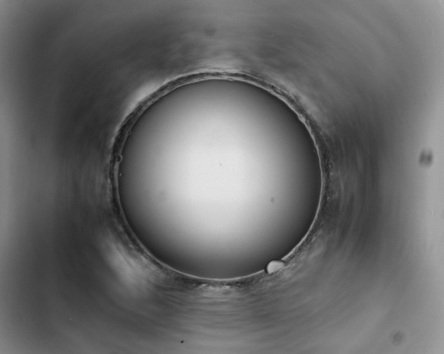 X0000102861168200808181434