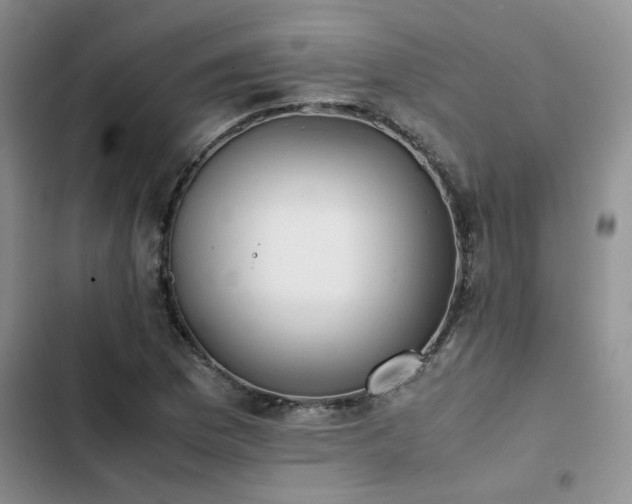 X0000102861169200808181434