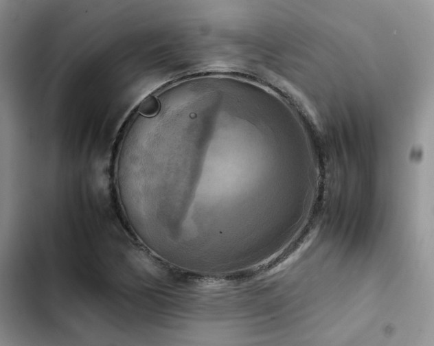 X0000102861170200808181434