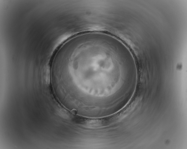 X0000102861171200808181434