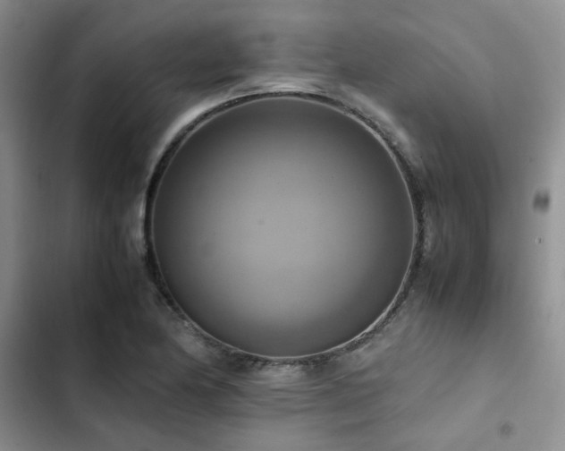 X0000102861174200808181434