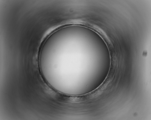 X0000102861176200808181434