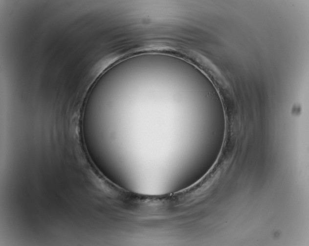 X0000102861177200808181434