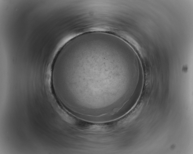 X0000102861179200808181434