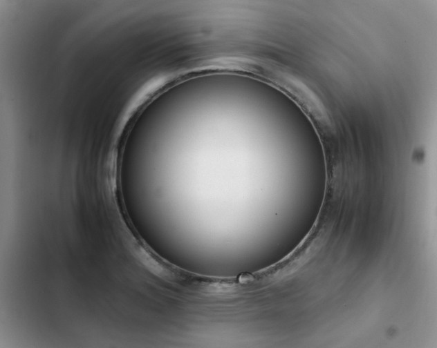 X0000102861180200808181434