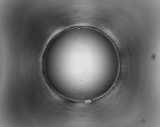 X0000102861181200808181434