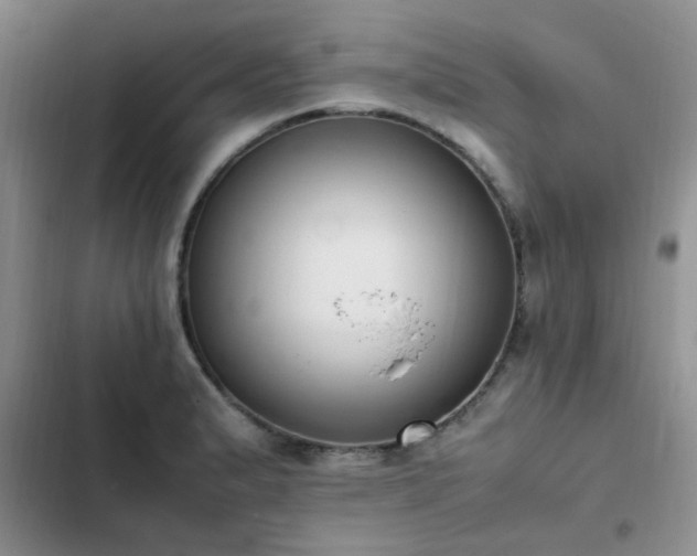 X0000102861183200808181434