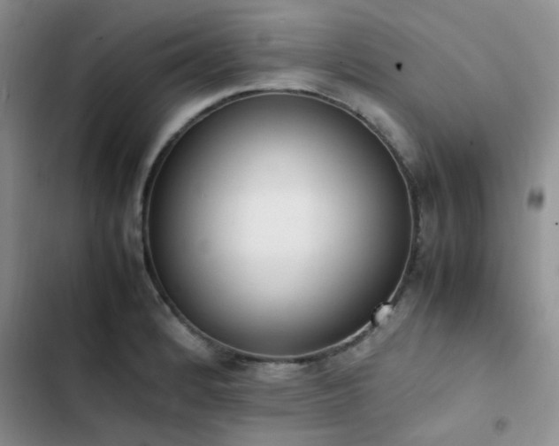 X0000102861184200808181434