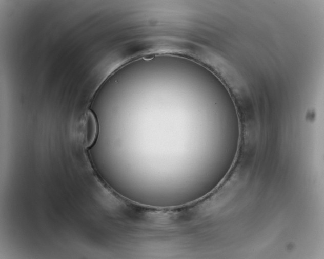 X0000102861185200808181434