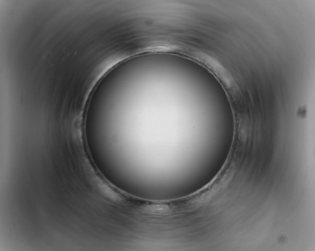 X0000102861186200808181434