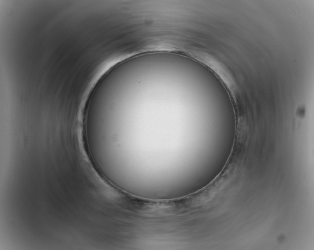 X0000102861187200808181434