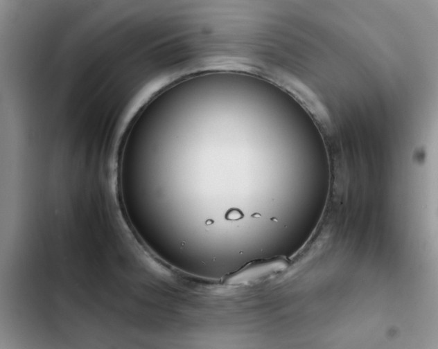 X0000102861188200808181434