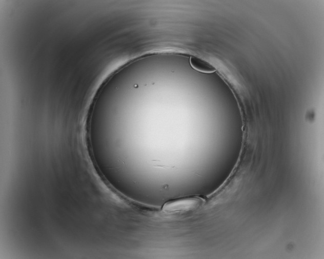 X0000102861189200808181434