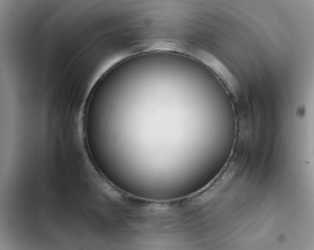 X0000102861190200808181434