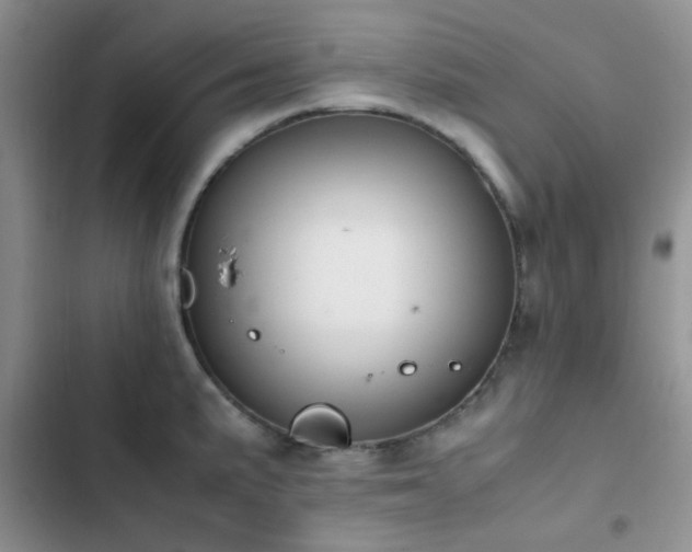 X0000102861191200808181434