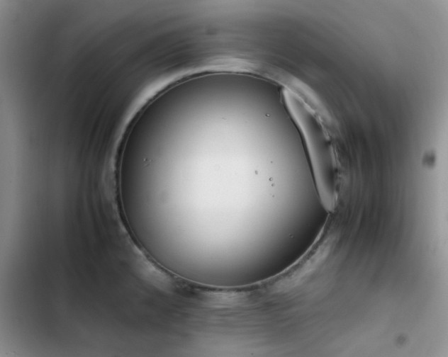 X0000102861192200808181434