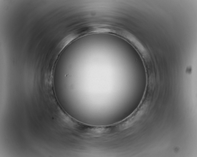 X0000102861193200808181434