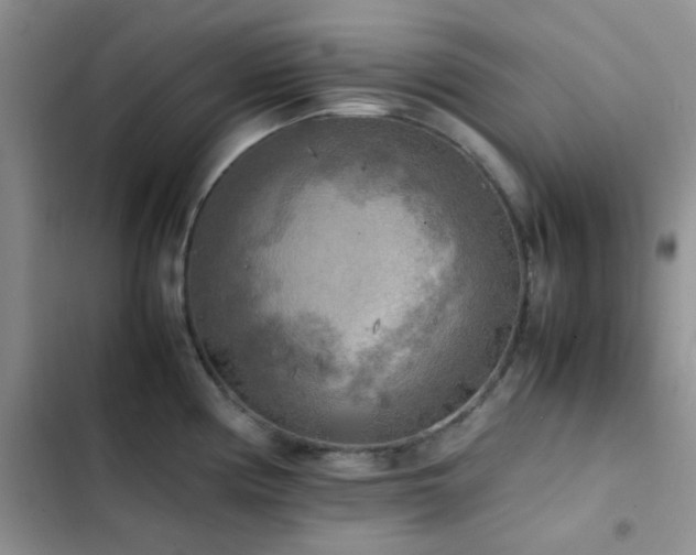 X0000102861194200808181434