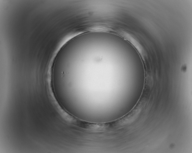 X0000102861195200808181434