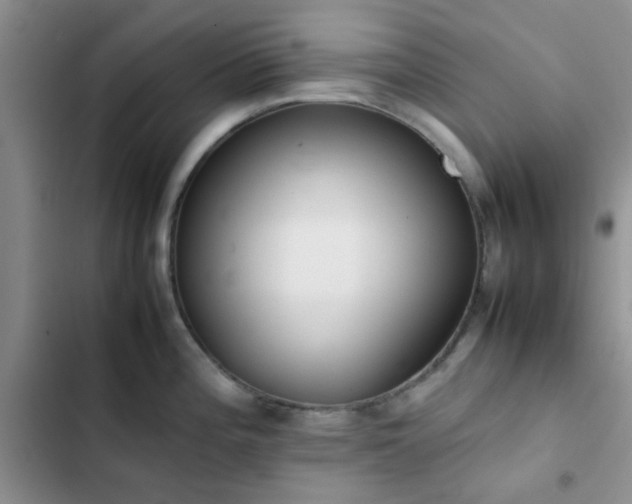 X0000102861196200808181434