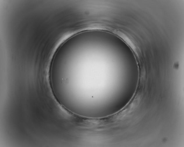 X0000102861197200808181434