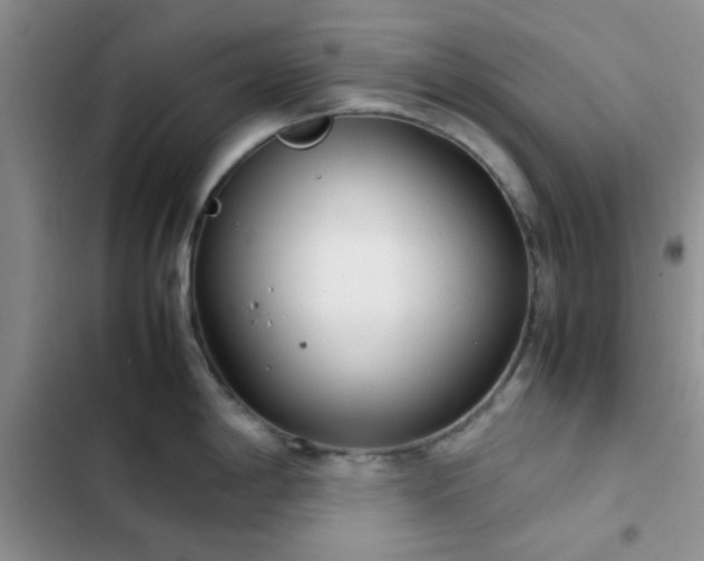 X0000102861198200808181434