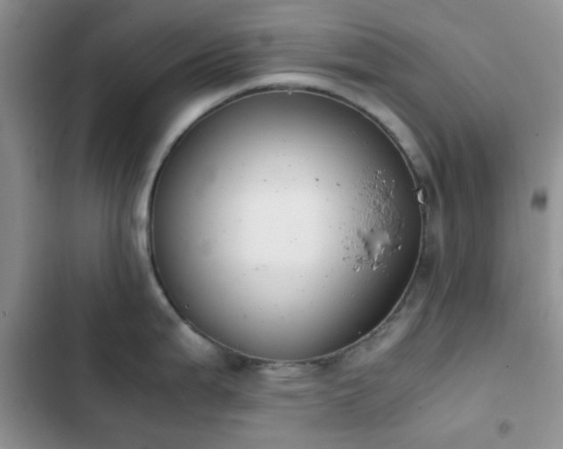 X0000102861199200808181434