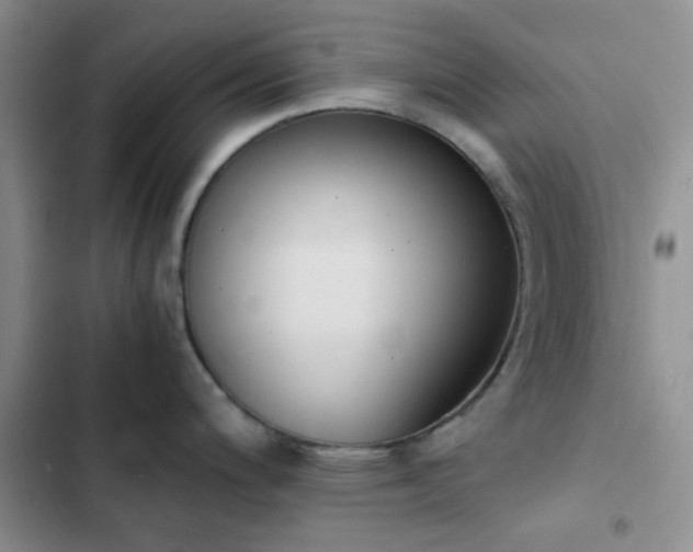 X0000102861200200808181434