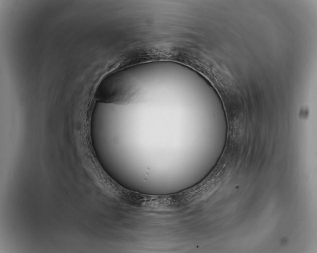 X0000102861201200808181433