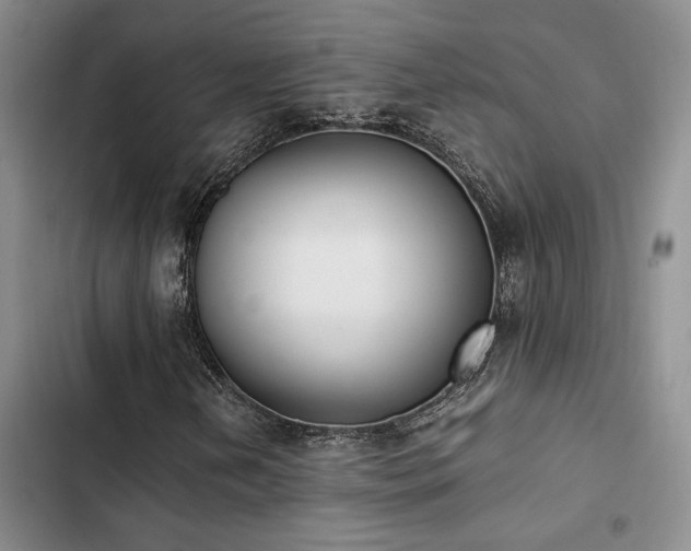 X0000102861202200808181433