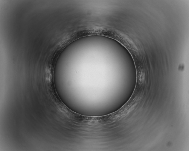 X0000102861204200808181433