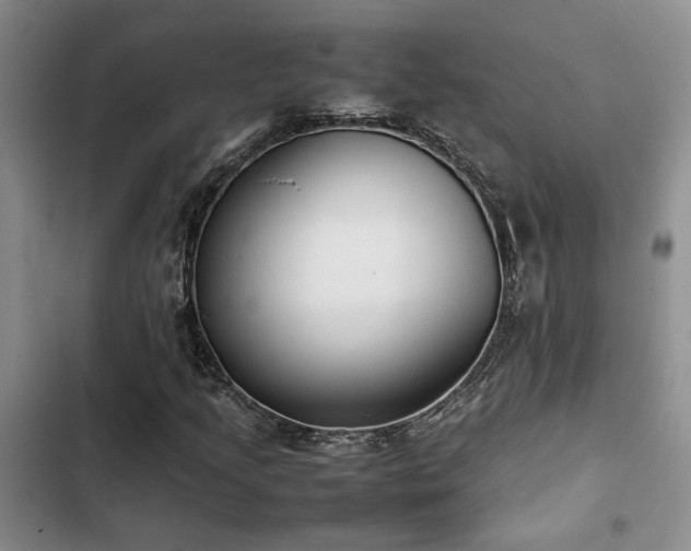 X0000102861205200808181433