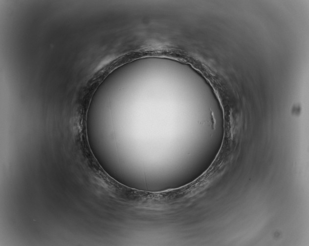 X0000102861206200808181433