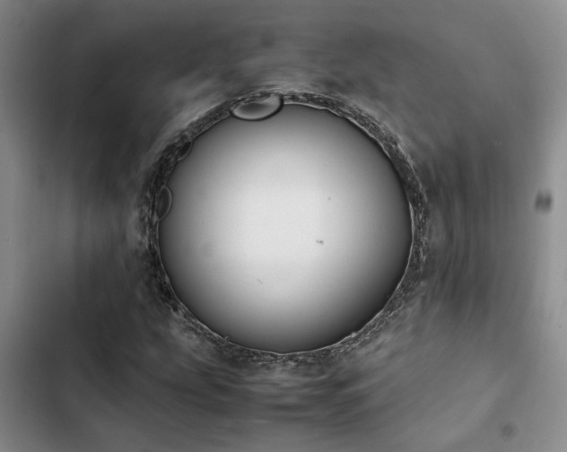 X0000102861207200808181433