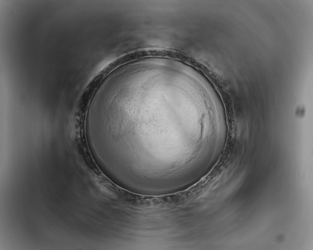 X0000102861208200808181433