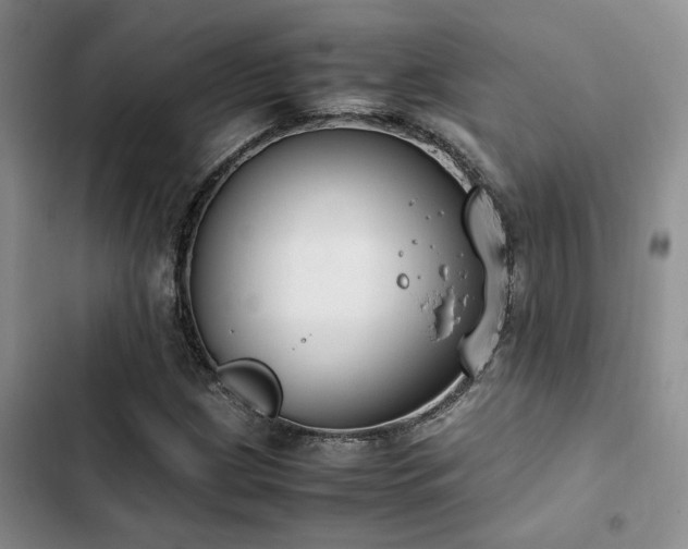 X0000102861209200808181433