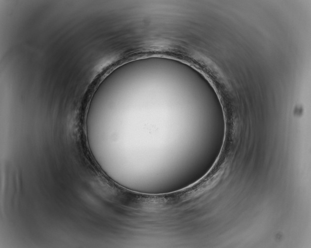 X0000102861210200808181433