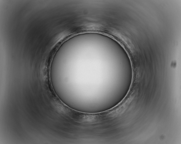 X0000102861211200808181433