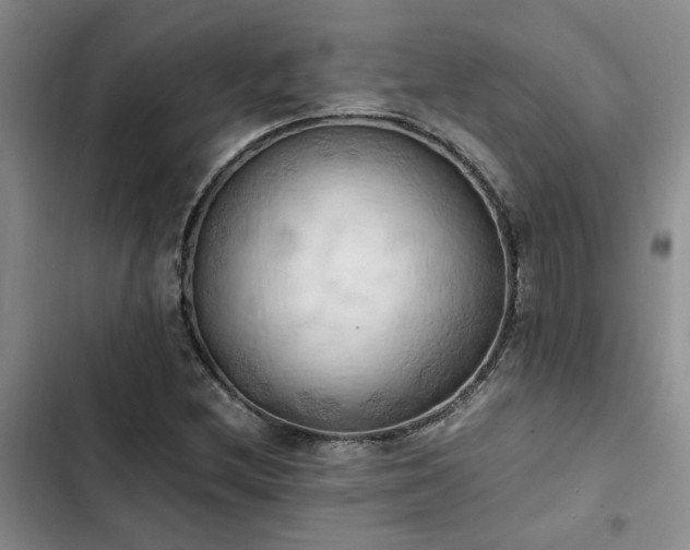 X0000102861212200808181433