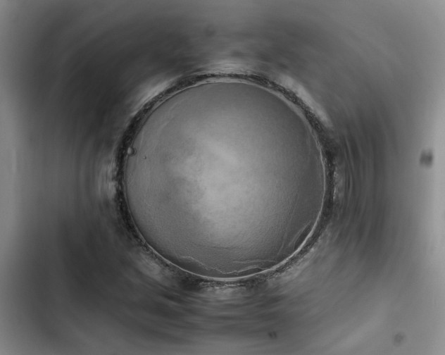 X0000102861213200808181433