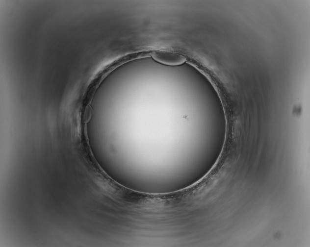 X0000102861214200808181433